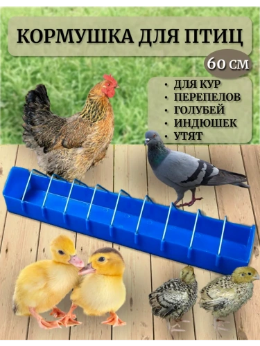 Кормушка для кур и птиц лотковая 60 см